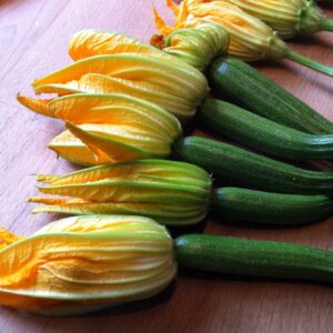 Zucchini blommor - 20st