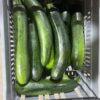 Zucchini grön - 5,5kg